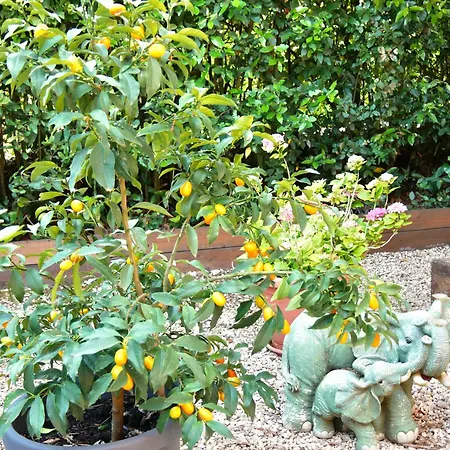 L'antico Granaio Bed & Breakfast *