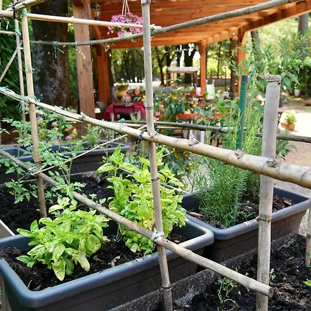 L'antico Granaio Bed & Breakfast