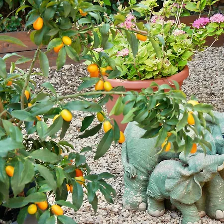 L'antico Granaio Bed & Breakfast