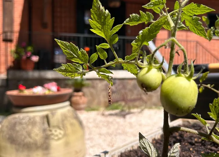 L'antico Granaio 4*